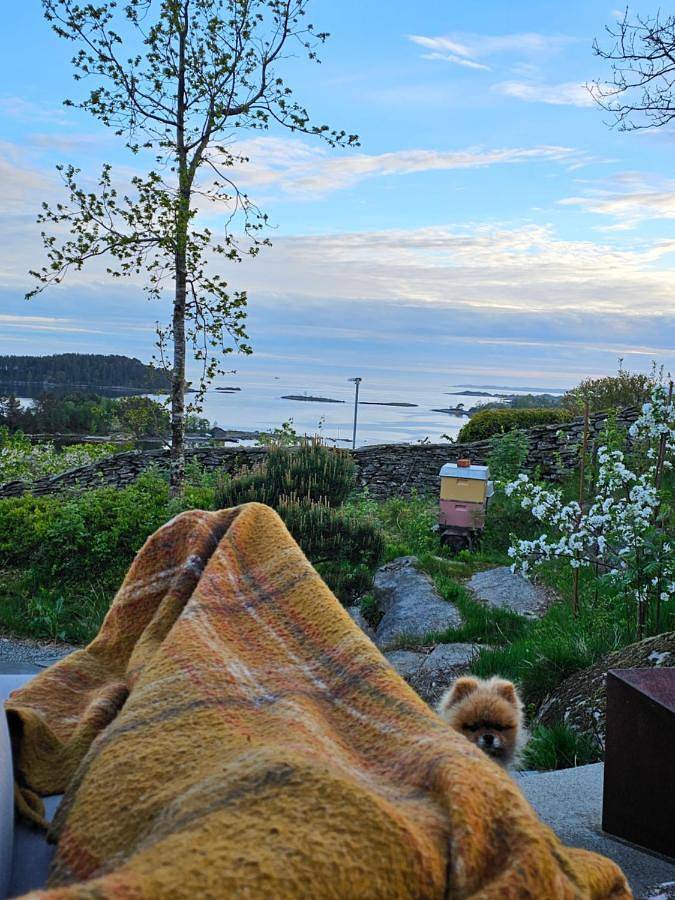 Ferienwohnung für 6 Personen, mit Ausblick und Garten in Tysvær - 4