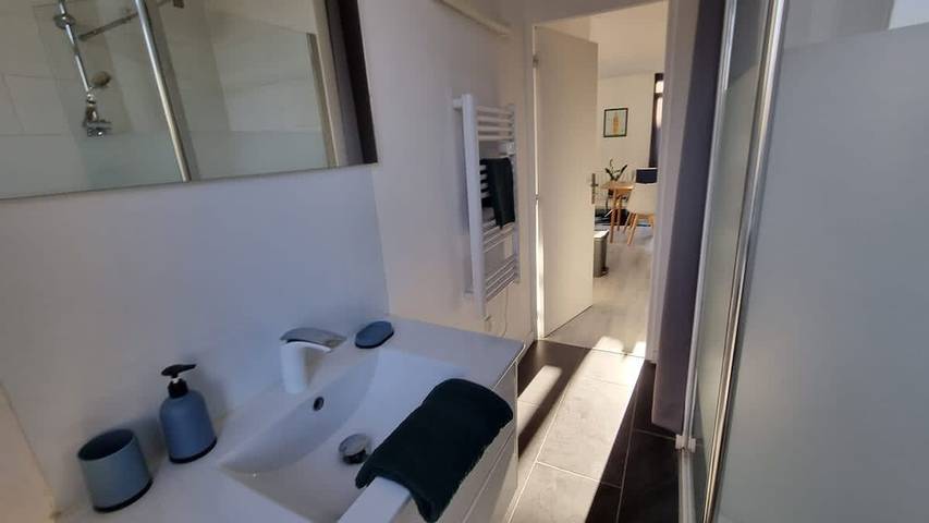 Apartamento entero, Poppy-Idealement situe, Entre gare, Gdpalais&Centre in Lille, Lille region