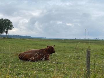 Ferieudlejning til 6 Personer i Bønsvig Strand, Præstø, Billede 2