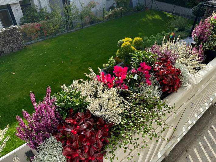 Ferienwohnung für 4 Personen, mit Terrasse in Westend Berlin - 2