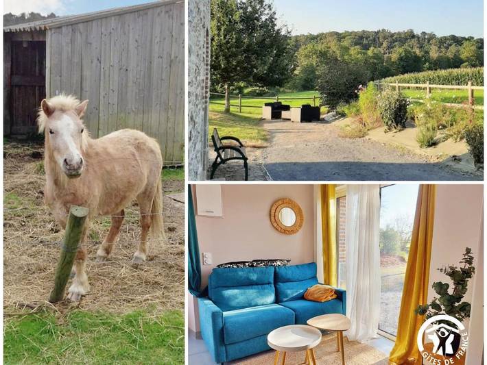 Location de vacances pour 4 personnes, avec terrasse et jardin, animaux acceptés à Saint-Céneré