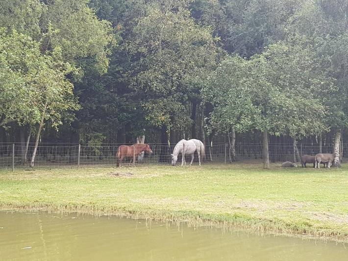 Location de vacances pour 7 personnes, avec jardin à Saint-Quentin-en-Tourmont - 3