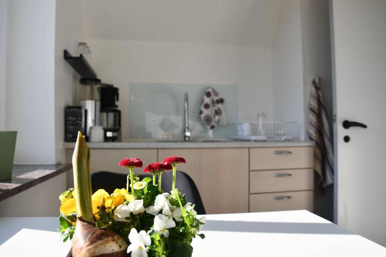 Ganze Wohnung, Midttown Apartment - 2 rooms kitchen and bathroom in Gram, Ostjütland