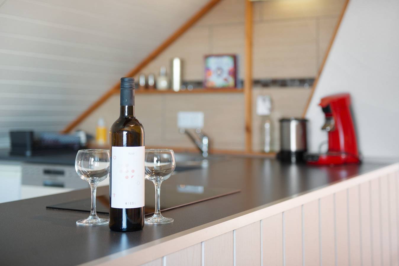 Ganze Wohnung, Ferienwohnung*** 'mit 40qm' mit Gemeinschaftsgarten und Wi-Fi in Radolfzell, Radolfzell am Bodensee