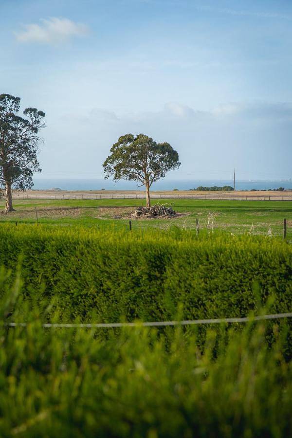 Maison d’hôte pour 10 personnes, avec vue ainsi que jardin et terrasse, animaux acceptés à Porto Covo - 4