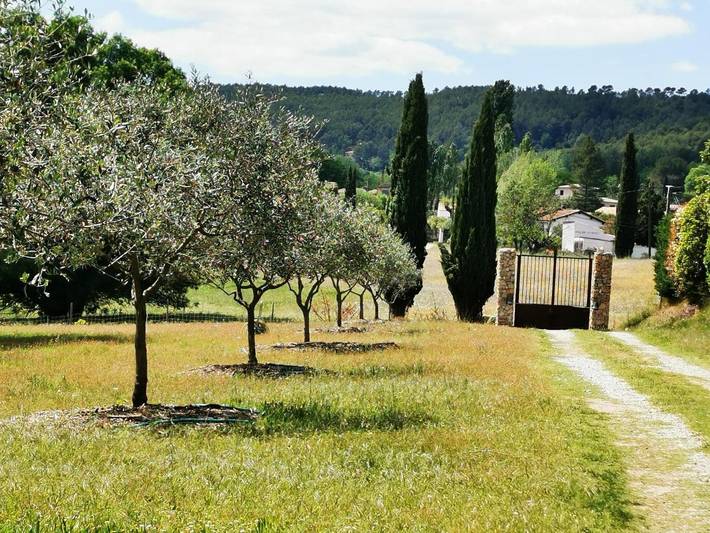 Tente pour 4 personnes, avec vue et jardin, animaux acceptés dans le Var - 3