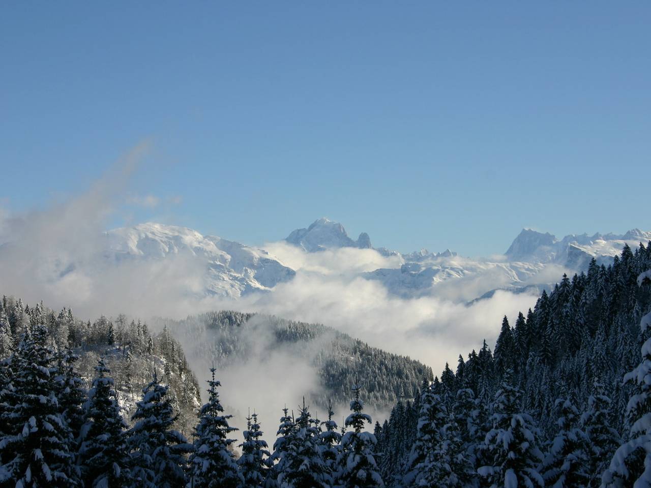 Entire studio, Cozy studio in village center, near slopes, sleeps 4 in Le Praz de Lys, Taninges
