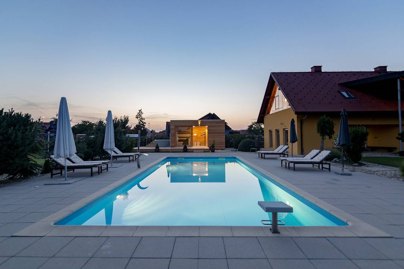 Pool Villa Izabela With Wellness in Untersteiermark