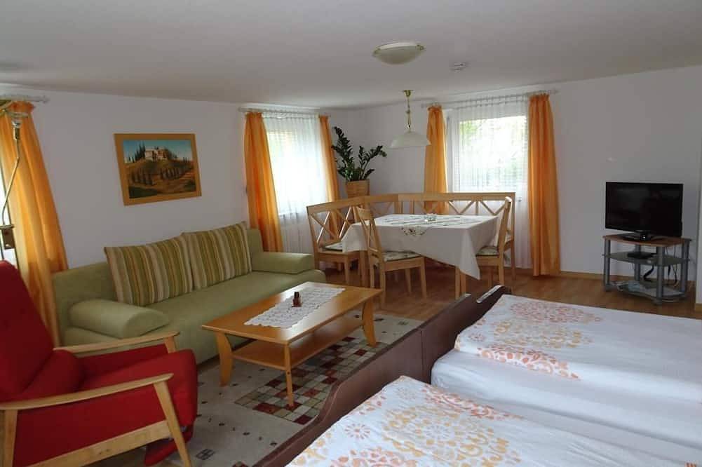 Ganze Wohnung, Ferienwohnung Bad Kissingen für 1 - 4 Personen mit 1 Schlafzimmer - Ferienwohnung in Bad Kissingen, Rhön-Bayern