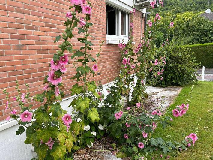 Gîte pour 5 personnes, avec vue ainsi que terrasse et jardin, animaux acceptés à Saint-Saëns (Seine-Maritime)
