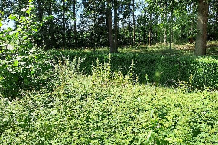 Ferienwohnung für 4 Personen, mit Garten, mit Haustier - 1