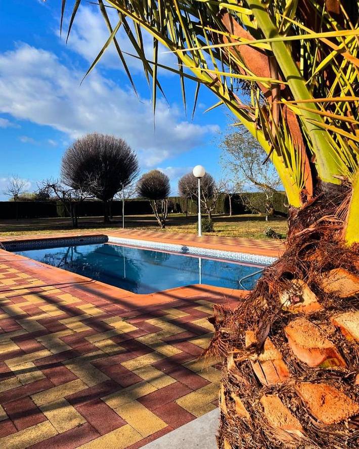 Casa de vacaciones para 12 personas, con vistas además de piscina y jardín en Provincia de Ciudad Real - 3