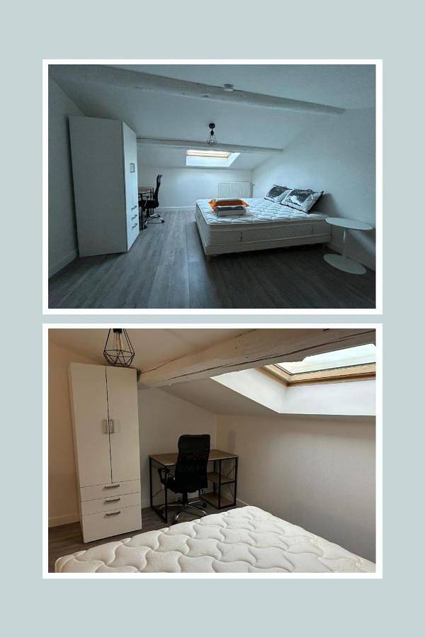 Gîte pour 6 personnes, animaux acceptés à Saint-Priest-en-Jarez - 2