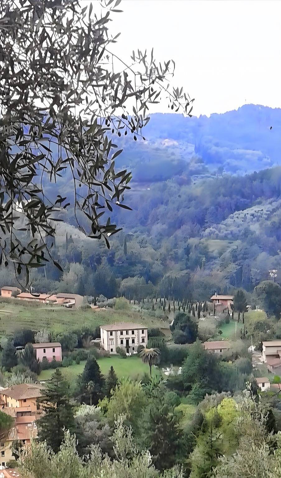 Villa 'Olivi' con Piscina in Condivisione, Giardino Privato e Wi-Fi in Camaiore (Toscana), Riviera Toscana