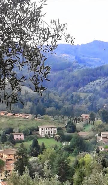 Agriturismo per 6 Persone in Camaiore (Toscana), Versilia, Foto 3
