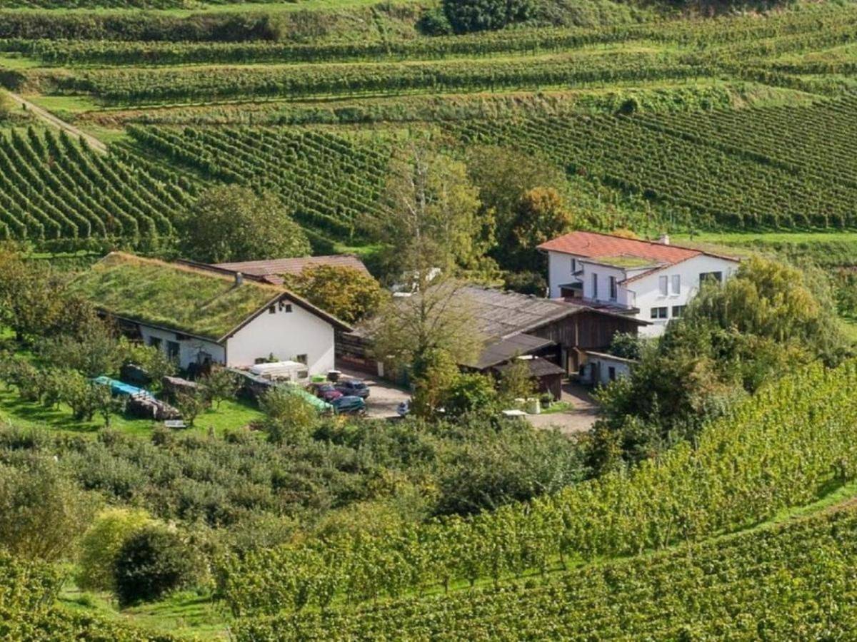 Ganze Wohnung, Ferienwohnung Schambachhof in Bötzingen am Kaiserstuhl, Kaiserstuhl