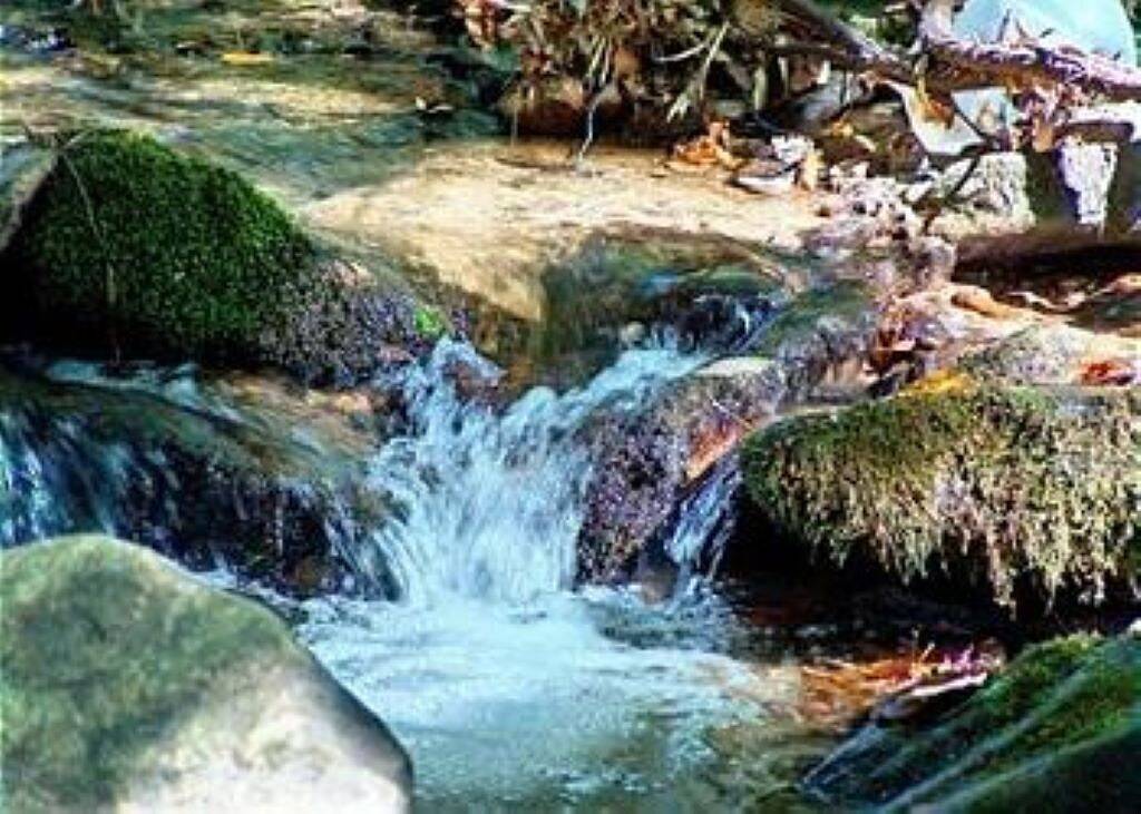 Watersplash Gated Community Im Maggie-Tal in Blue Ridge Parkway, Cataloochee Valley