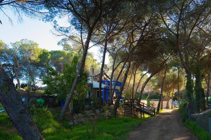 Casa rural para 8 personas, con jacuzzi además de jardín y piscina en Isla Cristina - 2