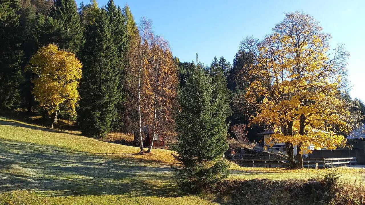 Ganzes Studio, Studio für 4 Personen (36 m²) in St. Jakob in Defereggen in Sankt Jakob in Defereggen, Bezirk Lienz