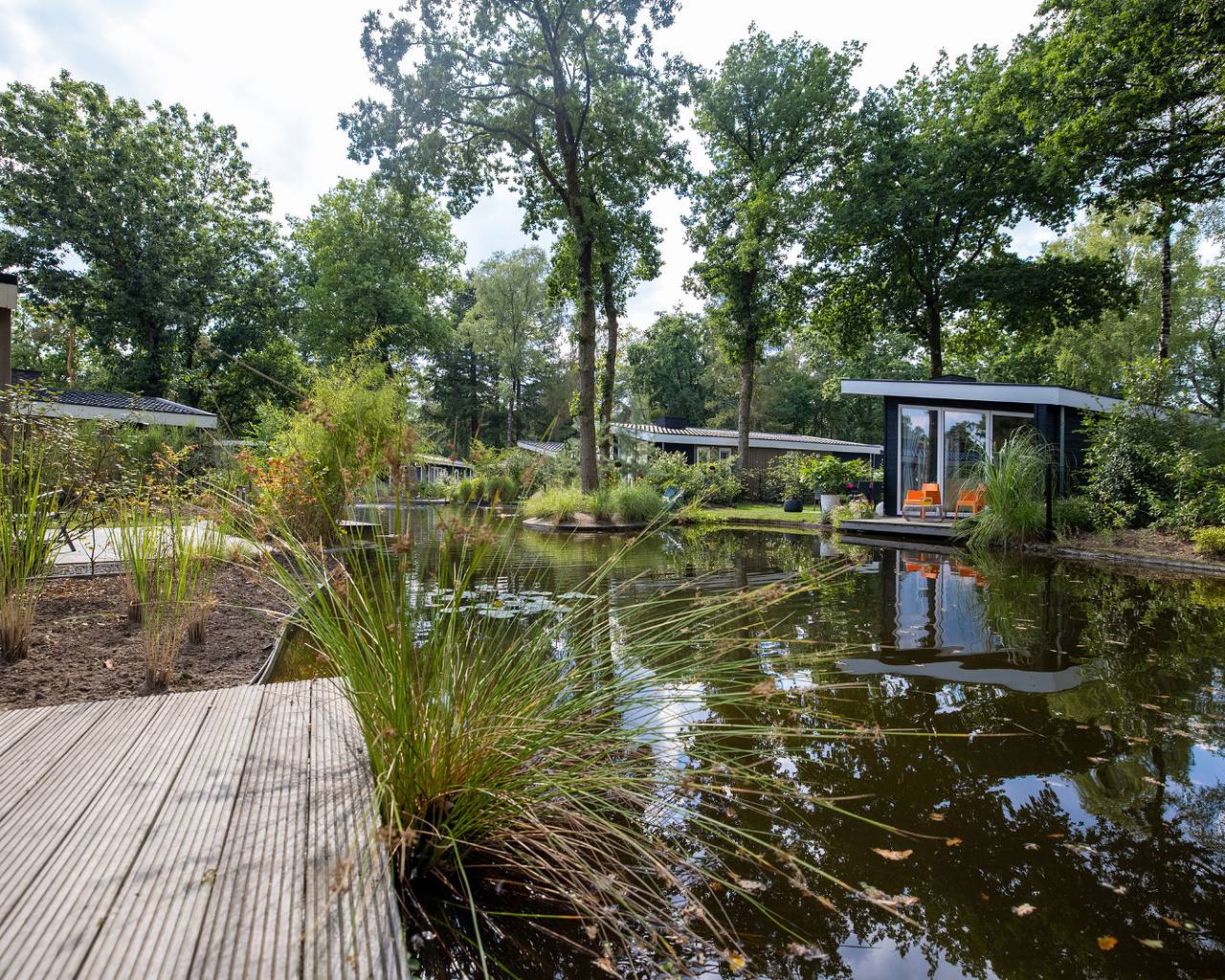Vakantiepark De Rimboe en Woeste Hoogte — Vakantiewoning Eco | Comfort 4 persoons in Veluwe