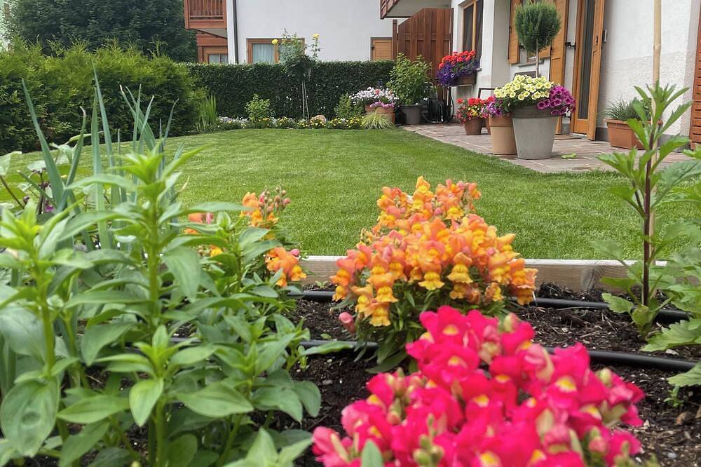 Appartamento intero, Casa Beba - Giardino esclusivo in Cavalese, Dolomiti di Fiemme