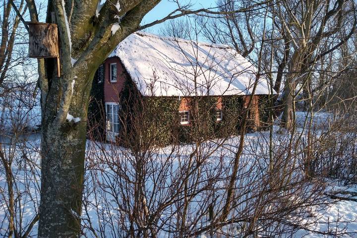 Ferienhaus für 4 Personen, mit Balkon/Terrasse und Terrasse sowie Garten in der Husumer Bucht - 4