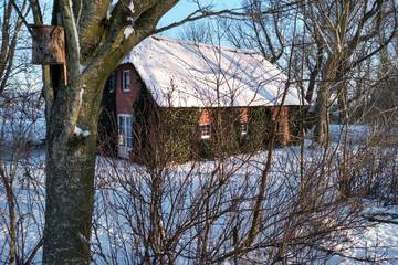 Strandhaus für 4 Personen in Norderfriedrichskoog, Nordfriesland, Bild 3