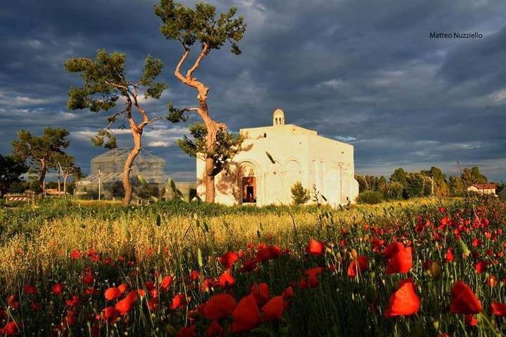 Ferienwohnung für 4 Personen in Manfredonia - 4