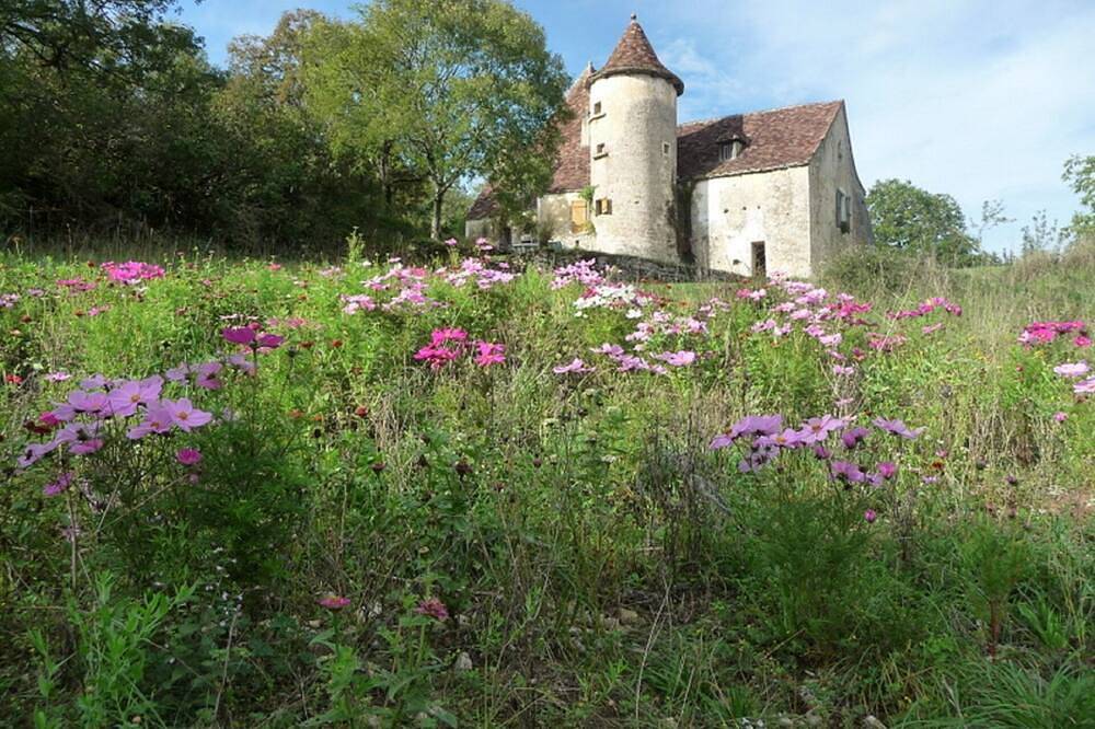 Manoir du 16ème siècle avec piscine privée in Saint-Projet, Quercy