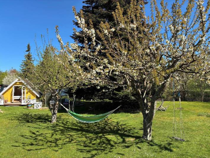Filter.beach_travel.vacation_home für 6 Personen, mit Garten in Vellerup - 4