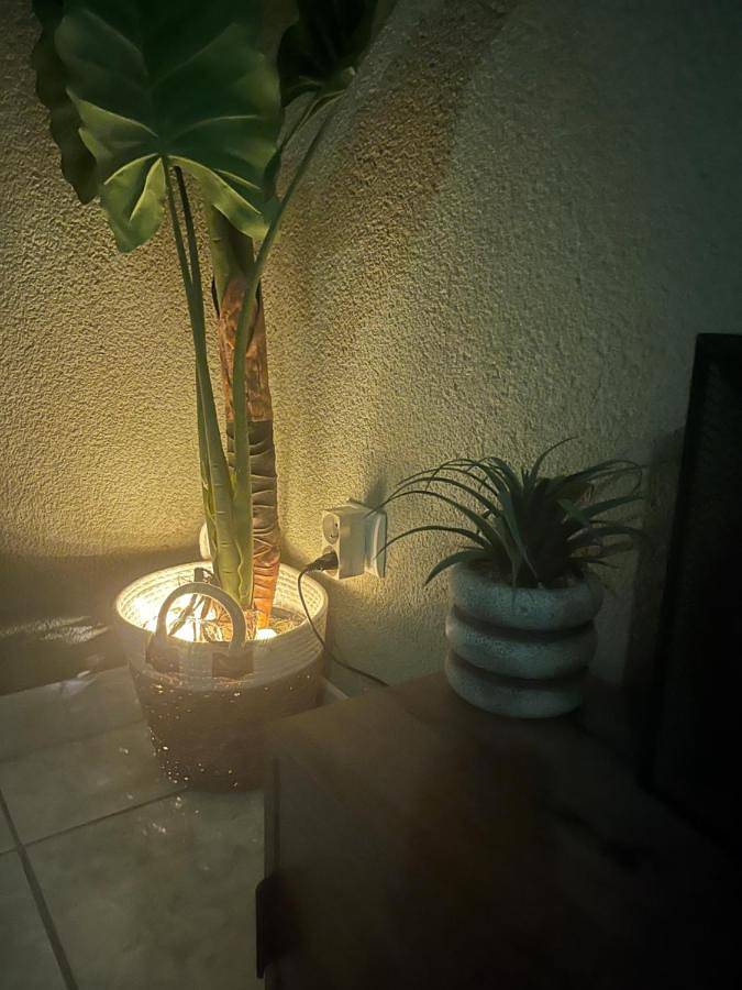 Location de vacances pour 2 personnes, avec vue ainsi que piscine et jardin à Carmaux - 2