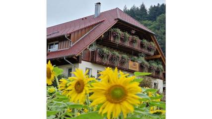 Bauernhof für 6 Personen, mit Garten in Nationalpark Schwarzwald