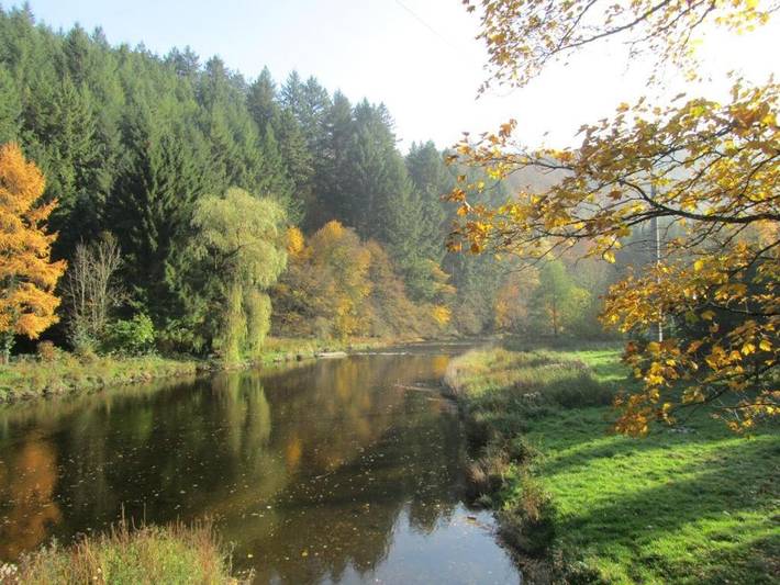 Gîte pour 4 personnes, avec vue et jardin, animaux acceptés à Rendeux - 2