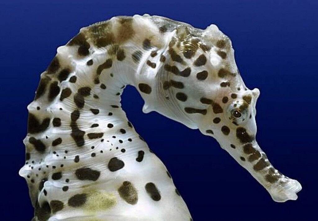 Vacation House for 2 Guests in Big Sur, California