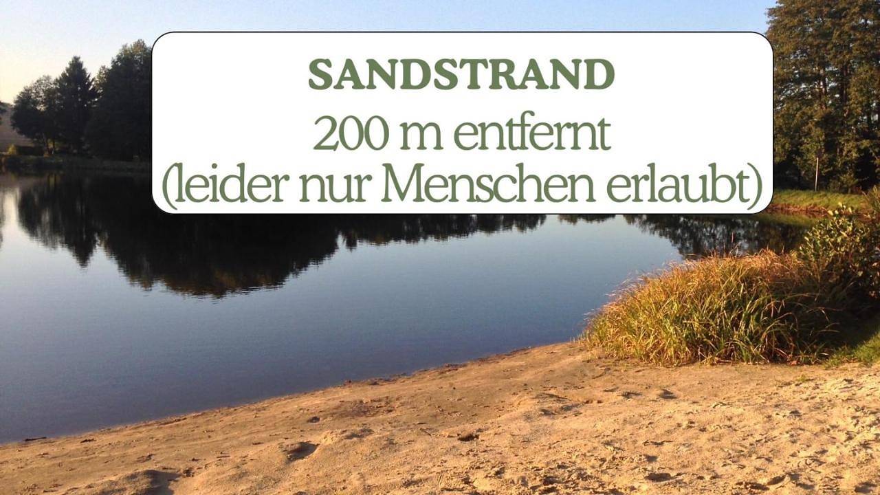 Hundeurlaub - Tiny House im Wald in Badeteich Tanna, Tanna