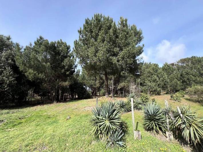 Ferienwohnung für 4 Personen, mit Terrasse und Garten, mit Haustier in Vendays-Montalivet - 2