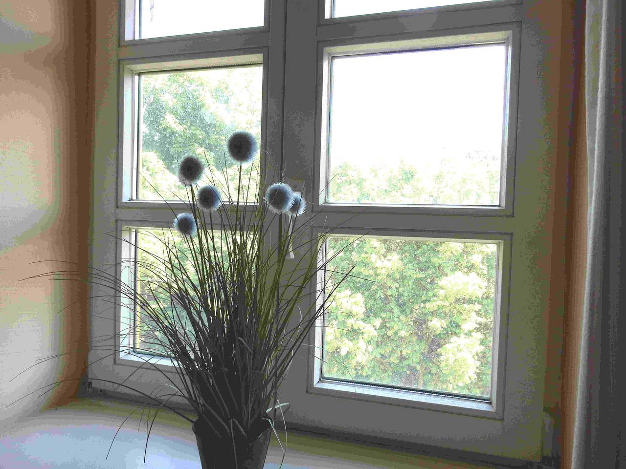 Ganze Ferienwohnung, Ferienparadies Rugana in Kreptitz, Dranske