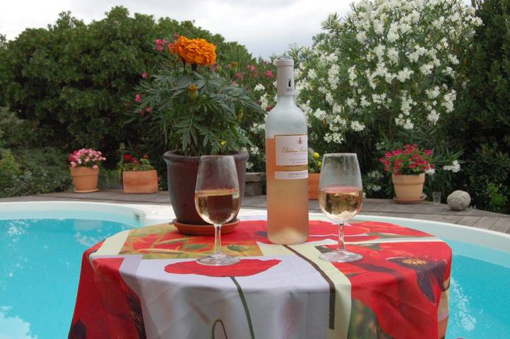 Location de vacances pour 2 personnes, avec jardin et piscine à Céret - 2