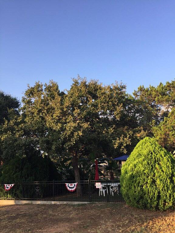 Gemütliche Hütte mit schönem Anwesen, Gästepool mit Seezugang. 4 Schlafplätze! in Lake Buchanan