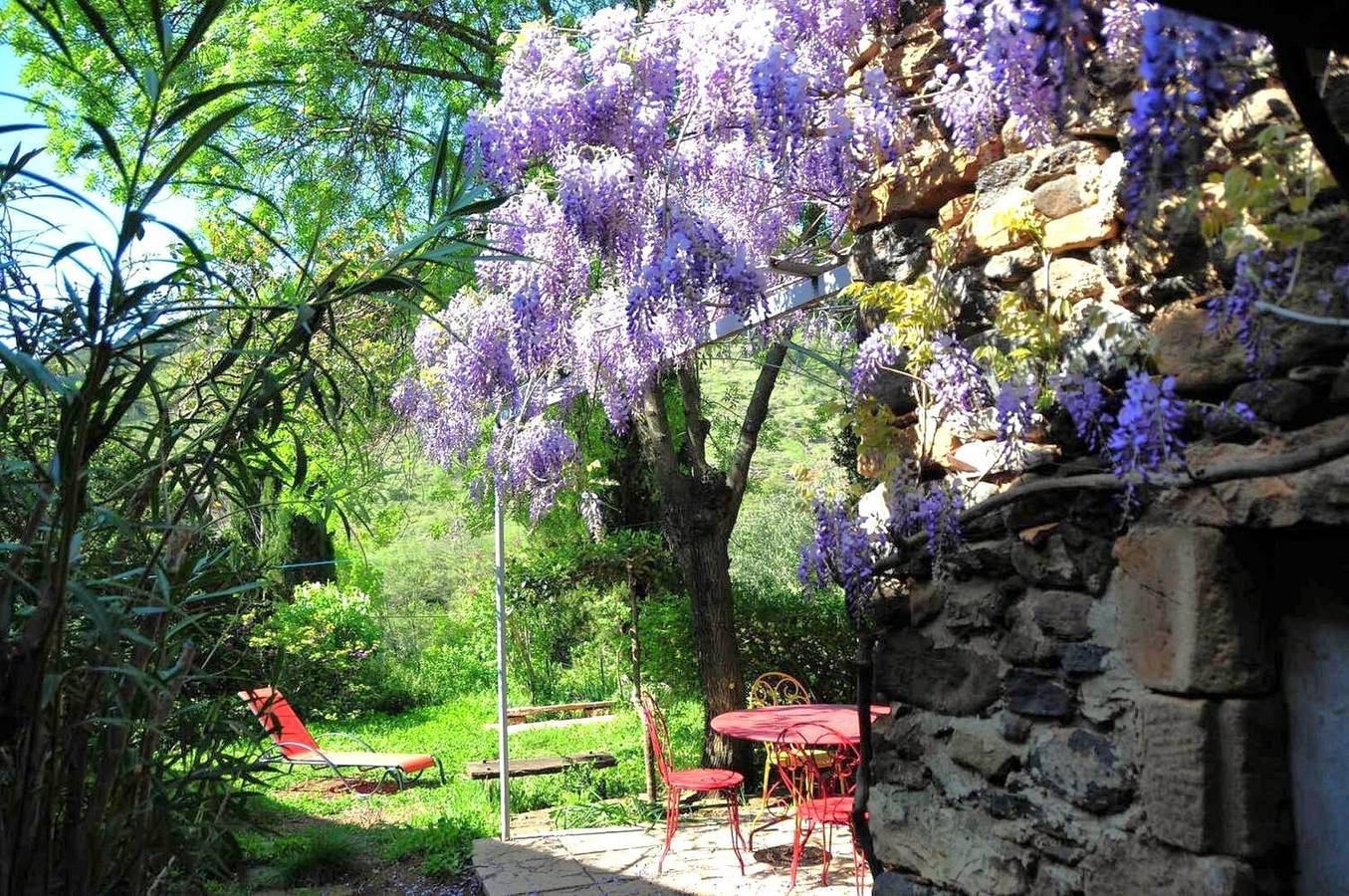 Le Mas de l'église in Octon, Région de Lodève