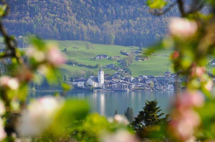 Ferienwohnung für 2 Personen, mit Seeblick und Garten sowie Sauna und Ausblick in Sankt Wolfgang im Salzkammergut - 3