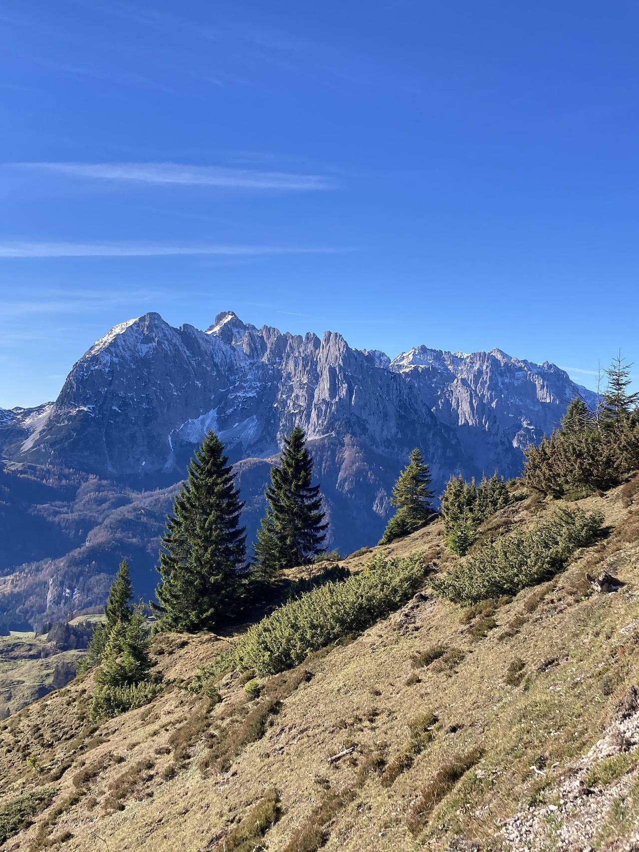 Ganze Ferienwohnung, Apartment/1 Schlafraum/Dusche/Wc,Tv,Blk in Schwendt, Kaiserwinkl