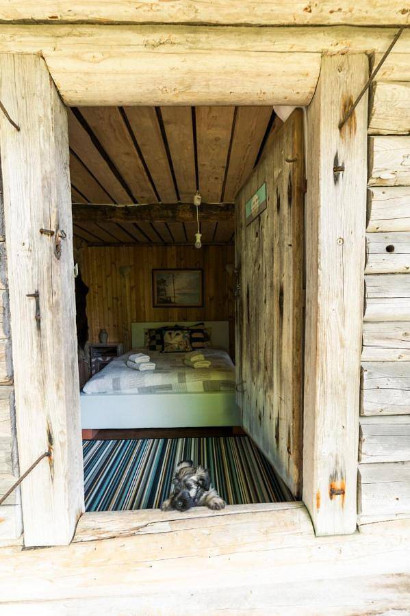 Double Room with Terrace in Hara küla, Lahemaa National Park