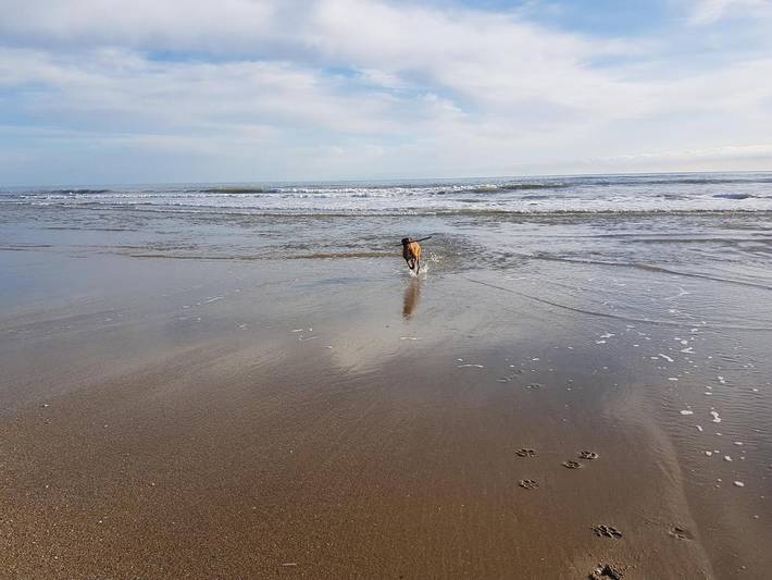 Gîte pour 3 personnes, avec vue et terrasse, animaux acceptés à La Palme - 3