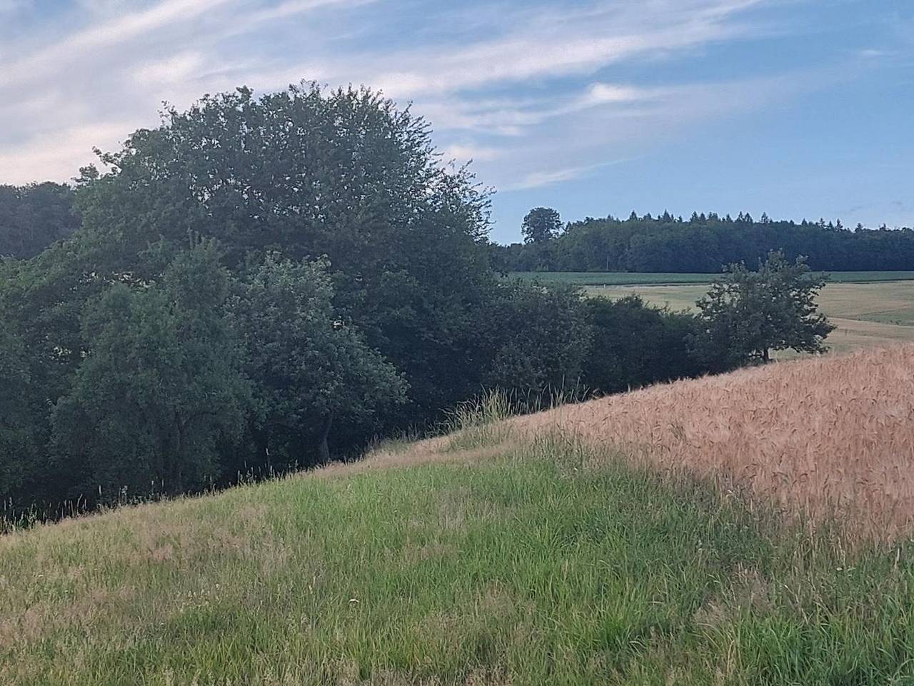 Ganze Ferienwohnung, Mühlbachhof - Ferienwohnung Mühlbachhof in Lahn-Taunus