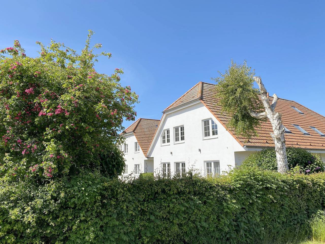 Ganze Ferienwohnung, F: Lotsenberg Apartments mit 8 Ferienwohnungen mit Sauna in Thiessow, Mönchgut
