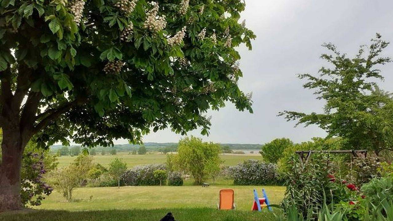 Ganze Ferienwohnung, Ferienwohnung für 4 Personen (45 m²) in Dahmen in Malchiner See, Dahmen