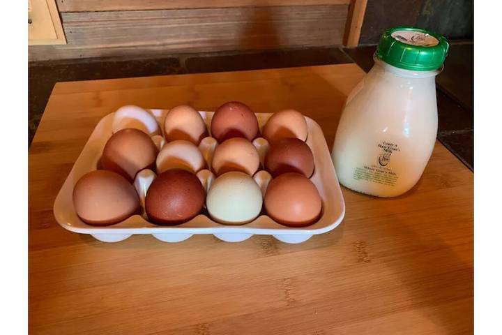 Vacation rental for 2 people, with yard in Pierce County