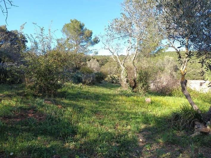 Gîte pour 2 personnes, avec vue ainsi que piscine et jardin, animaux acceptés à Carnoules - 4