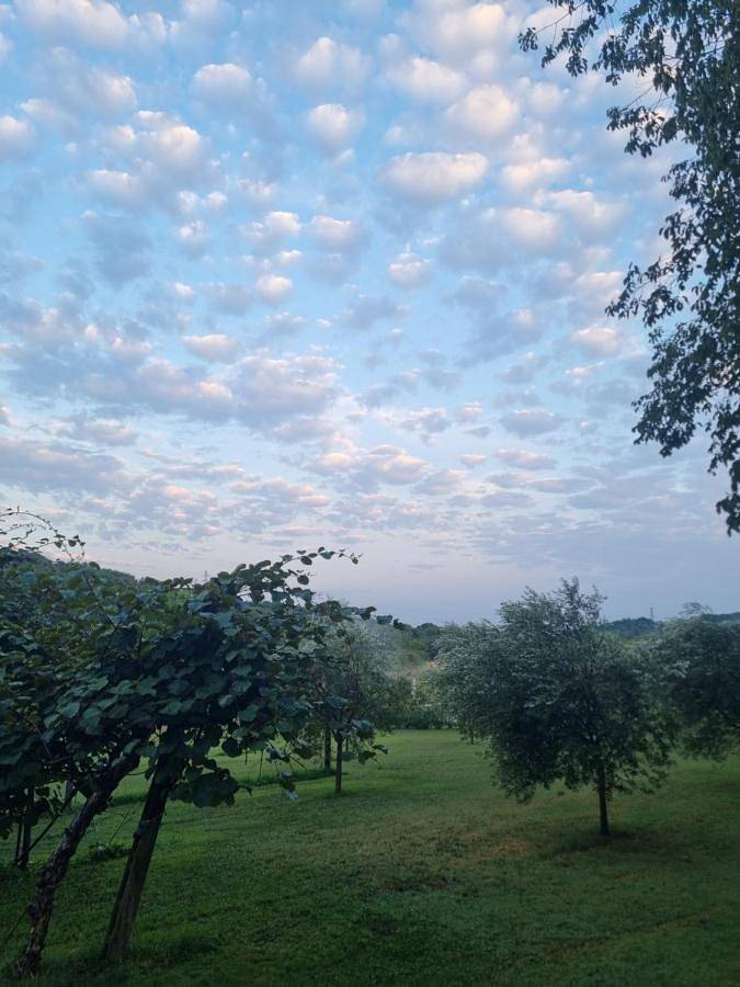 Appartamento intero, Agriturismo Case in Collina in Volta Mantovana, Provincia di Mantova